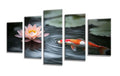 5 Pack Diamond Painting Kits Lotus Fish Large Diamond Painting Kits for Adults, Crystal Rhinestone Gems Arts and Crafts, DIY Full Drill Embroidery Paintings, Home Wall Decor 300x180cm/120x78in q-10120