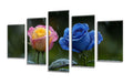 5 Pack Diamond Painting Kits Plant Rose Large Diamond Painting Kits for Adults, Crystal Rhinestone Gems Arts and Crafts, DIY Full Drill Embroidery Paintings, Home Wall Decor 300x180cm/120x78in q-10912